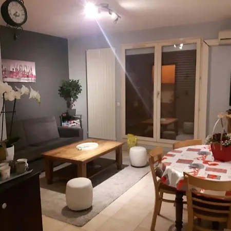 En Rez De Jardin Climatisee 2 Pieces-cuisine Avec Terrasse Et Jardin Apartment