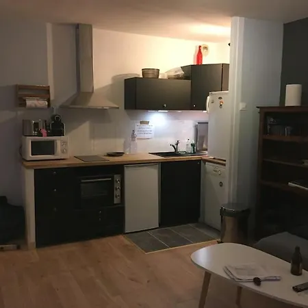 En Rez De Jardin Climatisee 2 Pieces-cuisine Avec Terrasse Et Jardin Apartment *