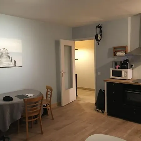 Apartment En Rez De Jardin Climatisee 2 Pieces-cuisine Avec Terrasse Et Jardin *