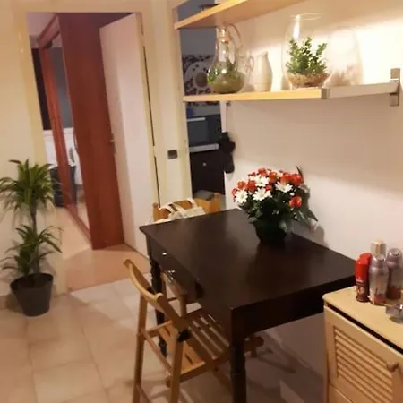 En Rez De Jardin Climatisee 2 Pieces-cuisine Avec Terrasse Et Jardin Apartment