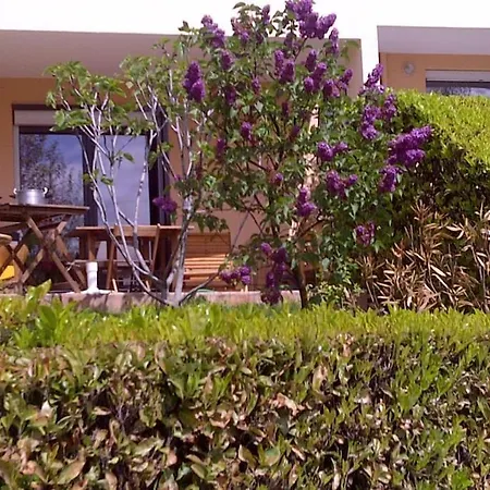 Apartment En Rez De Jardin Climatisee 2 Pieces-cuisine Avec Terrasse Et Jardin Sainte-Foy-les-Lyon